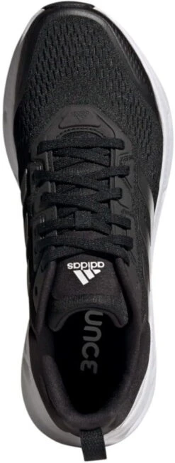 Hardloopschoen Adidas QUESTAR -Exporteren Rend Sneakers Winkel adidas questar 558176 gy2262 960