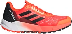 Trail Schoenen Adidas TERREX AGRAVIC FLOW 2