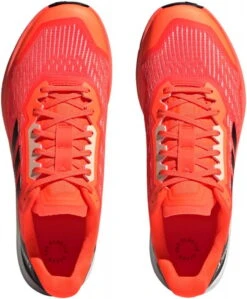 Trail Schoenen Adidas TERREX AGRAVIC FLOW 2 -Exporteren Rend Sneakers Winkel adidas terrex agravic flow 2 548757 hr1118 960