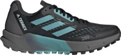 Trail Schoenen Adidas TERREX AGRAVIC FLOW 2 W