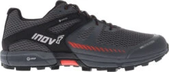 Trail Schoenen INOV-8 Roclite G 315 GTX® V2 (M)