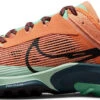 Trail Schoenen Nike Air Zoom Terra Kiger 8