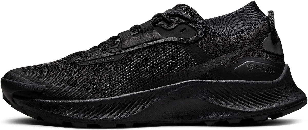 Schoenen Nike Pegasus Trail 3 GTX 1 Schoenen Nike Pegasus Trail 3 GTX