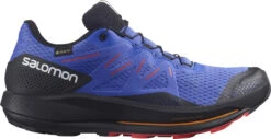 Schoenen Salomon PULSAR TRAIL GTX