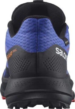 Schoenen Salomon PULSAR TRAIL GTX 14 Schoenen Salomon PULSAR TRAIL GTX -Exporteren Rend Sneakers Winkel salomon pulsar trail gtx 485514 l41608003 960
