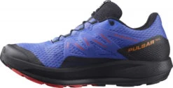 Schoenen Salomon PULSAR TRAIL GTX 12 Schoenen Salomon PULSAR TRAIL GTX -Exporteren Rend Sneakers Winkel salomon pulsar trail gtx 485514 l41608005 960