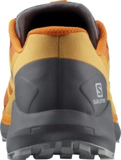 Trail Schoenen Salomon SENSE RIDE 4 17 Trail Schoenen Salomon SENSE RIDE 4 -Exporteren Rend Sneakers Winkel salomon sense ride 4 421973 l41690703 960