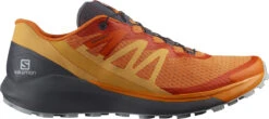 Trail Schoenen Salomon SENSE RIDE 4