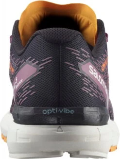 Hardloopschoen Salomon SONIC 5 Balance W -Exporteren Rend Sneakers Winkel salomon sonic 5 balance w 450669 l41710403 960