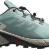 Trail Schoenen Salomon SUPERCROSS 4 W