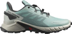 Trail Schoenen Salomon SUPERCROSS 4 W