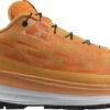 Trail Schoenen Salomon ULTRA GLIDE