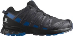 Trail Schoenen Salomon XA PRO 3D V8 GTX