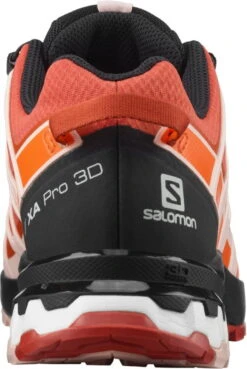Trail Schoenen Salomon XA PRO 3D V8 GTX W -Exporteren Rend Sneakers Winkel salomon xa pro 3d v8 gtx w 445440 l41442702 960