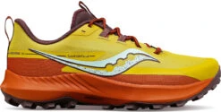 Trail Schoenen Saucony Peregrine 13